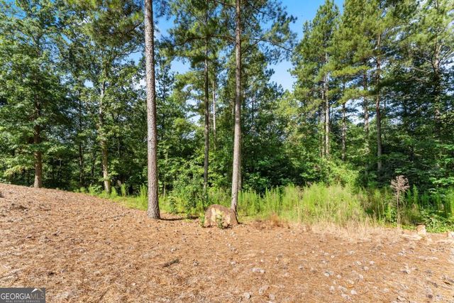 318 Jim Grizzle Road, Royston, GA 30662