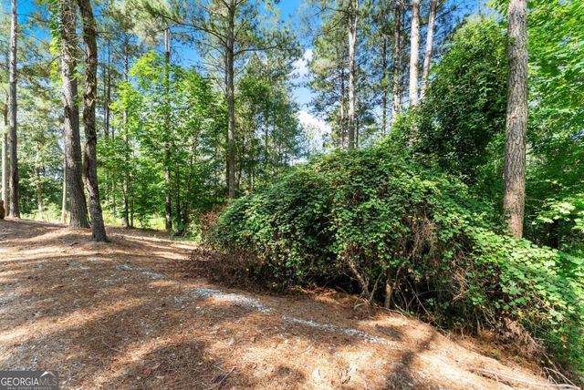 318 Jim Grizzle Road, Royston, GA 30662