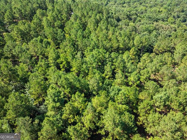 318 Jim Grizzle Road, Royston, GA 30662