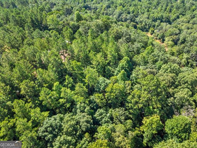318 Jim Grizzle Road, Royston, GA 30662