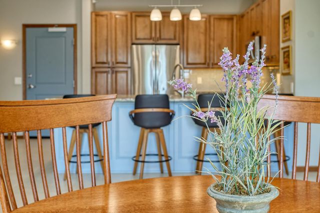 3110 N Chestnut Street 211, Chaska, MN 55318