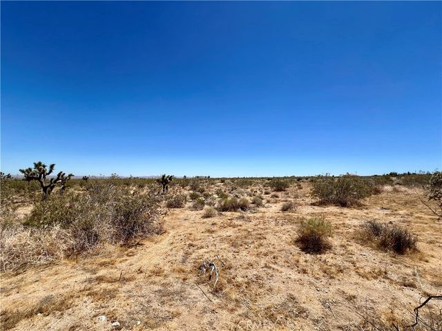 33501 165th Street E, Llano, CA 93544