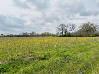270 Dugout Road, Summertown, TN 38483