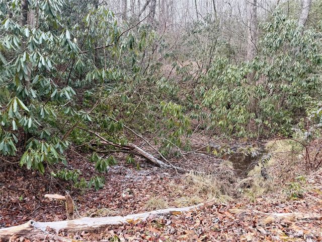 581 Hubbard Hollow Road, Rosman, NC 28772