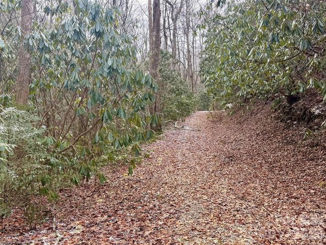 581 Hubbard Hollow Road, Rosman, NC 28772