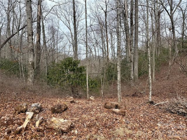 581 Hubbard Hollow Road, Rosman, NC 28772