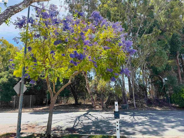 5579 Ridgewood Dr, Fremont, CA 94555