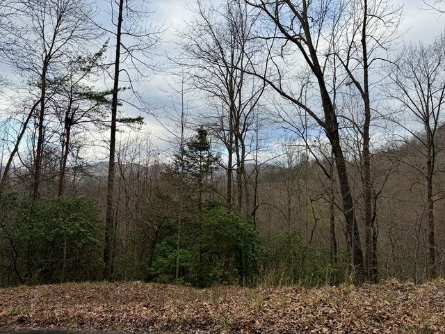 Lot 14 The Highlands, Hiawassee, GA 30546
