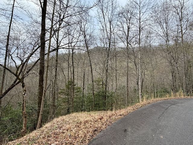 Lot 14 The Highlands, Hiawassee, GA 30546