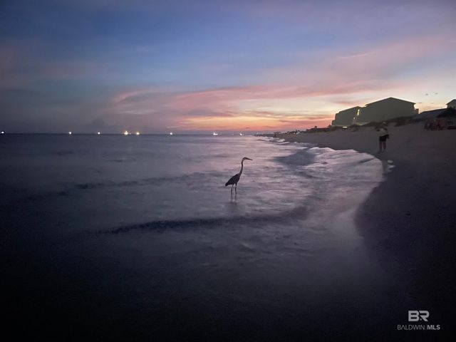 450 S Breakers Lane, Gulf Shores, AL 36542