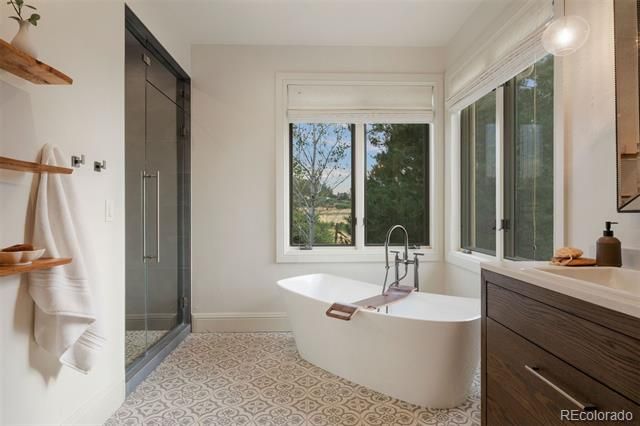 10378 Grande Vista Court, Lone Tree, CO 80124