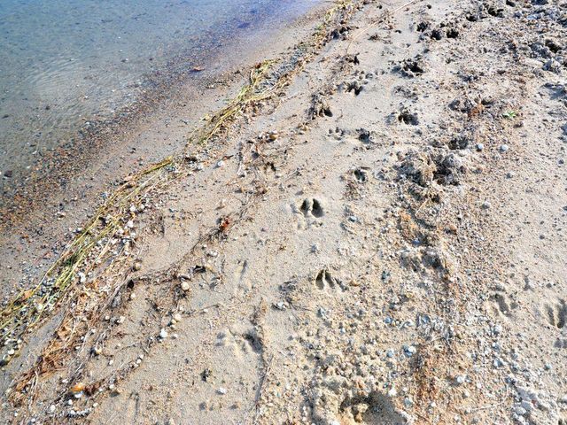 19776 Edelweiss Drive, Nevis Twp, MN 56467