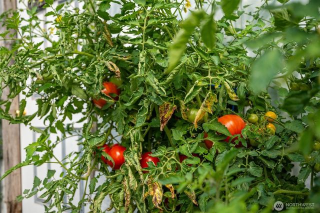 2225 61st Street SE, Everett, WA 98203