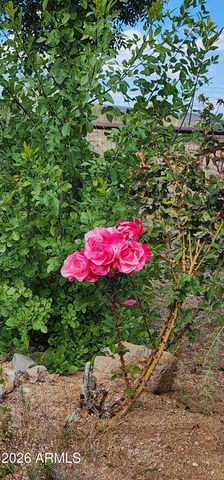 1125 N WAGON WHEEL Place, Chino Valley, AZ 86323