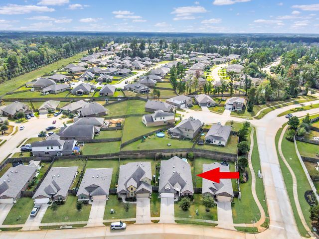 13917 Nicolet Arbor Lane, Conroe, TX 77384