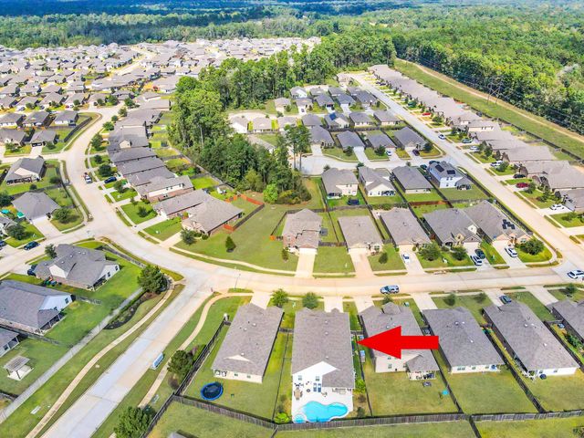 13917 Nicolet Arbor Lane, Conroe, TX 77384