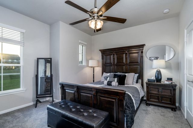 4004 Wildflower Place, Waller, TX 77484