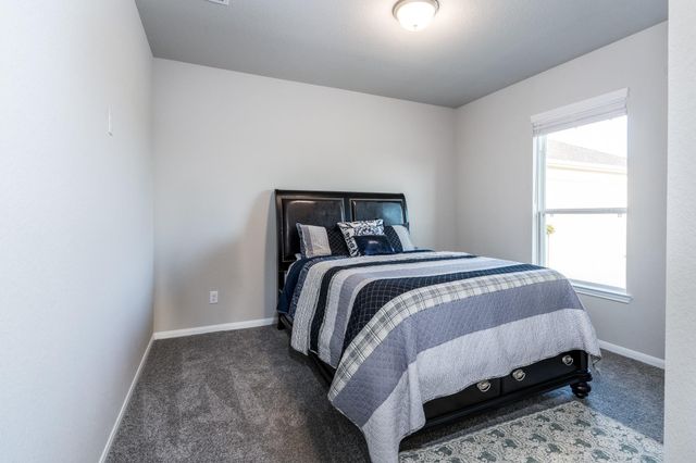 4004 Wildflower Place, Waller, TX 77484