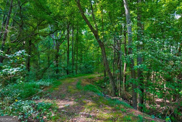 203 N Ridgeview Court, Canton, GA 30115
