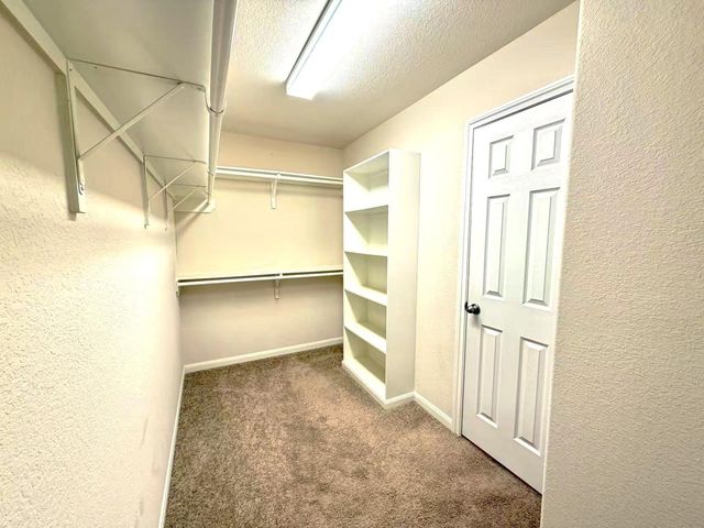 24410 Bludana Lane, Richmond, TX 77406