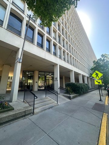 1401 E 55th Street 305N, Chicago, IL 60615