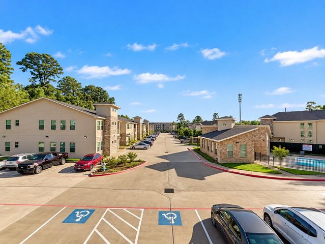 504 Nursery Road 3202, The Woodlands, TX 77380