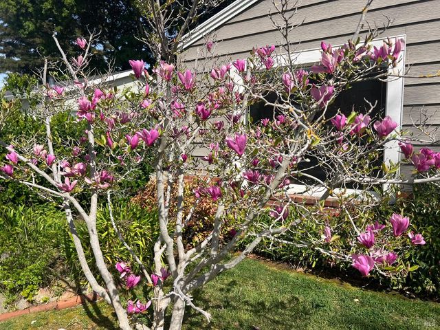 186 Fairmont Ave, Vallejo, CA 94590