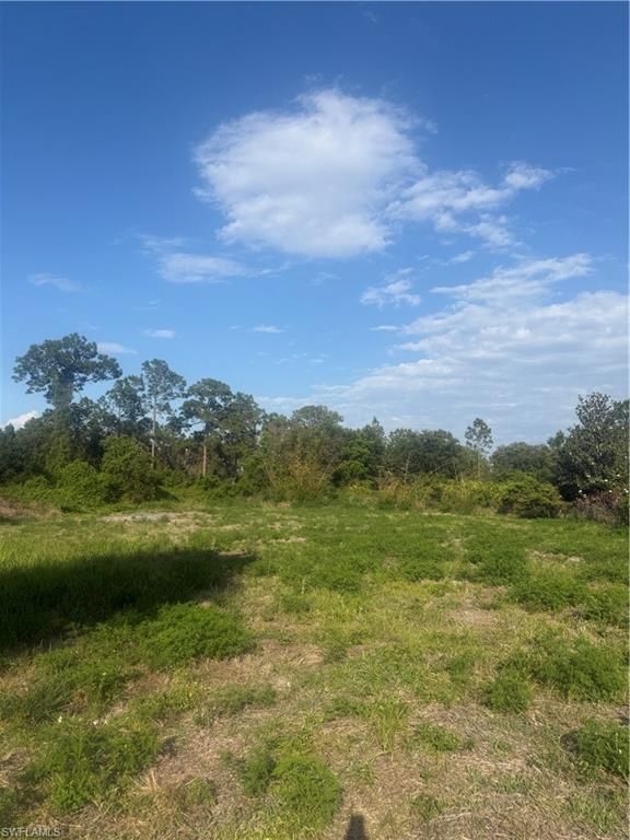 322 Wellington AVE, LEHIGH ACRES, FL 33936 — photo 3