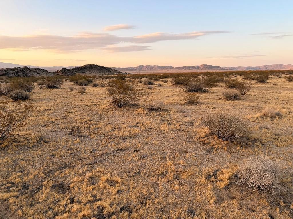 Image 4 of property listing at 11 Saddle Rock Way, Johnson Valley, CA 92285
