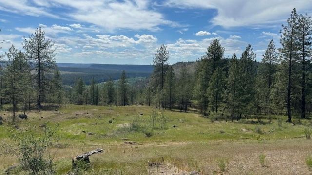 NKA Landon Ln, Spokane, WA 99208