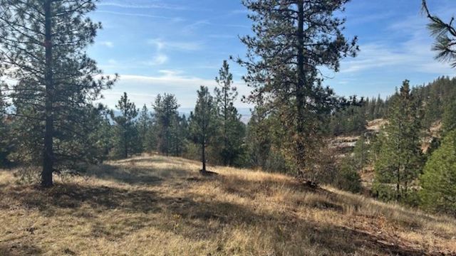 NKA Landon Ln, Spokane, WA 99208