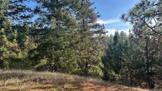 NKA Landon Ln, Spokane, WA 99208