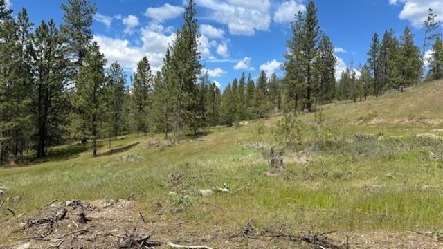 NKA Landon Ln, Spokane, WA 99208