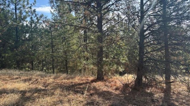 NKA Landon Ln, Spokane, WA 99208