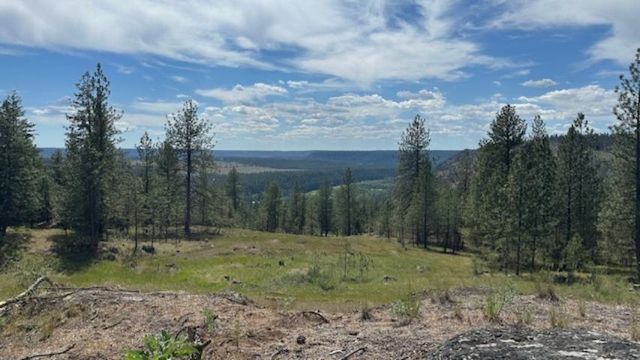 NKA Landon Ln, Spokane, WA 99208