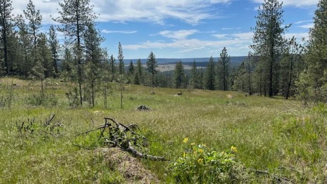 NKA Landon Ln, Spokane, WA 99208