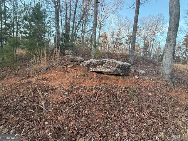 426 Rockhouse Crossing, Demorest, GA 30535