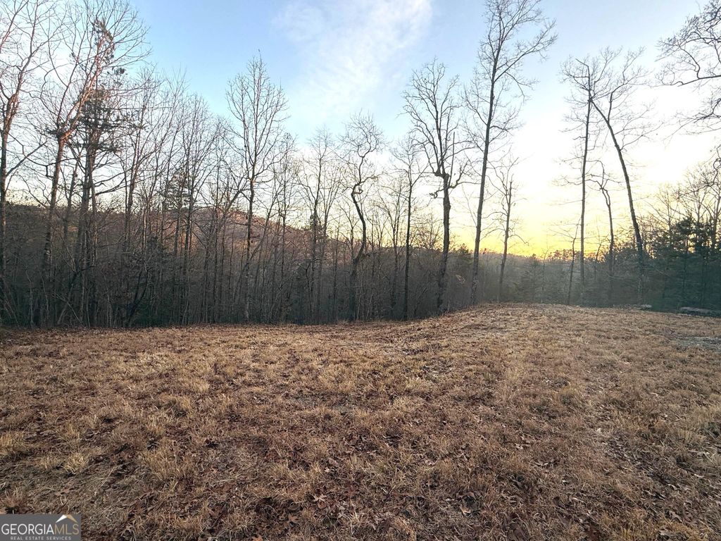 426 Rockhouse Crossing, Demorest, GA 30535 — photo 4