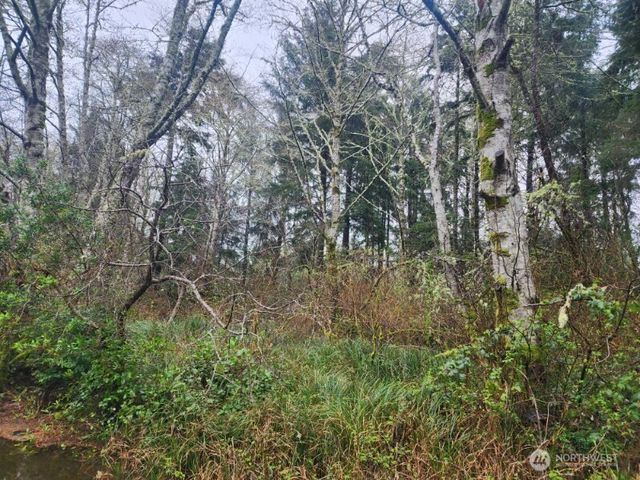 670 Weatherwax Loop NE, Ocean Shores, WA 98569