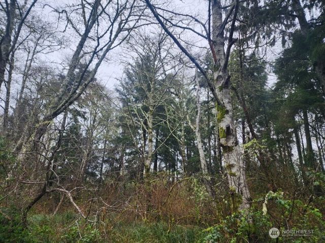 670 Weatherwax Loop NE, Ocean Shores, WA 98569