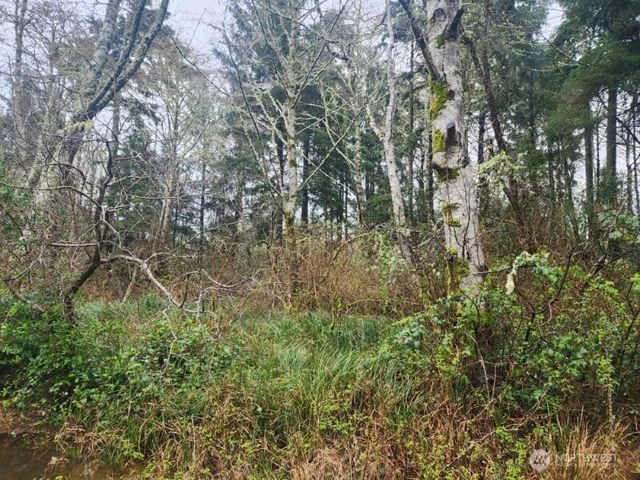 670 Weatherwax Loop NE, Ocean Shores, WA 98569