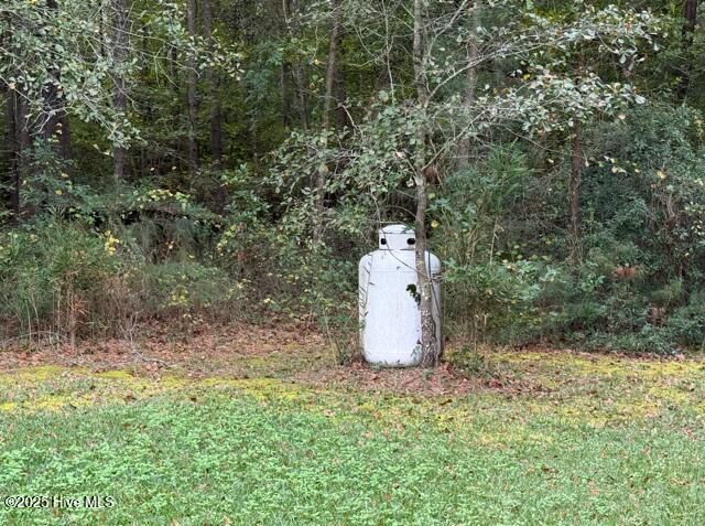 639 Cornwallis Road, Teachey, NC 28464