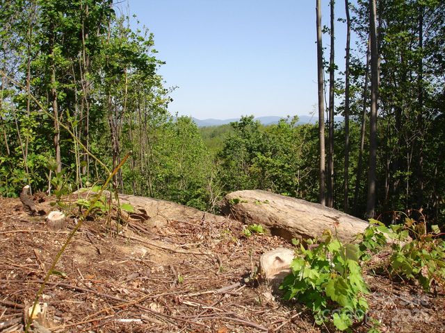 TBD Black Lark Drive, Marion, NC 28752