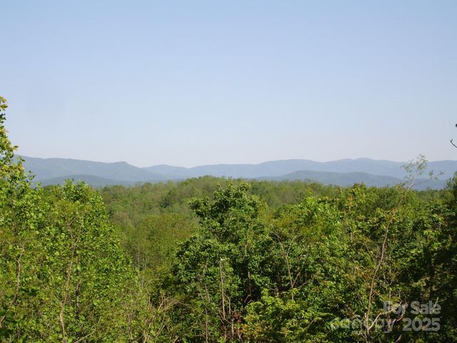 TBD Black Lark Drive, Marion, NC 28752