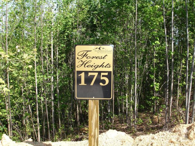 TBD Black Lark Drive, Marion, NC 28752