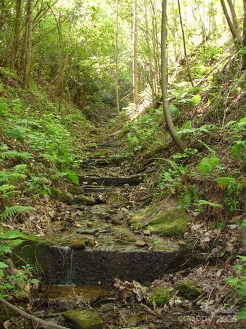 TBD Black Lark Drive, Marion, NC 28752