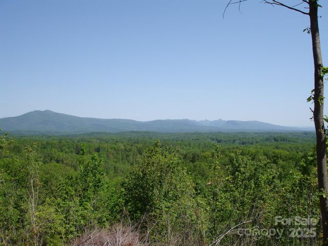 TBD Black Lark Drive, Marion, NC 28752