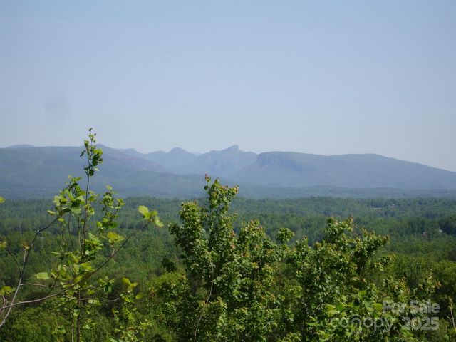 TBD Black Lark Drive, Marion, NC 28752