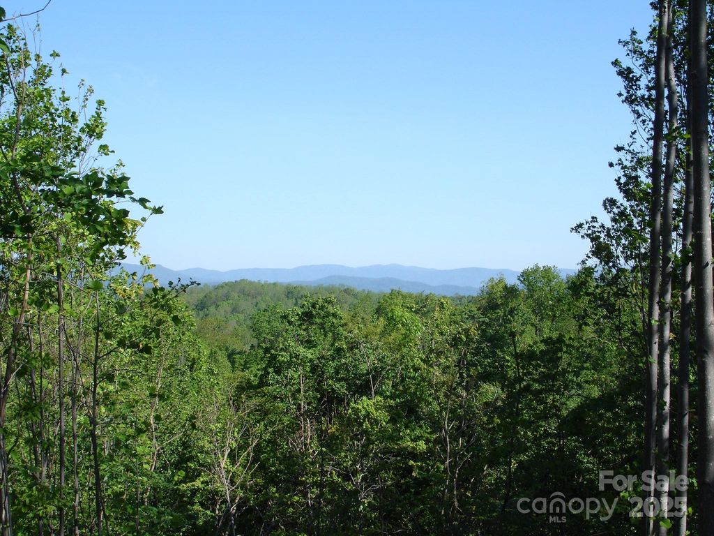 TBD Black Lark Drive, Marion, NC 28752