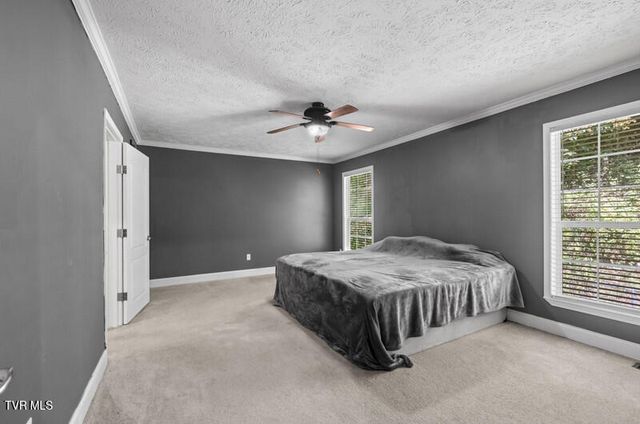 9514 Highway 11w, Mooresburg, TN 37811